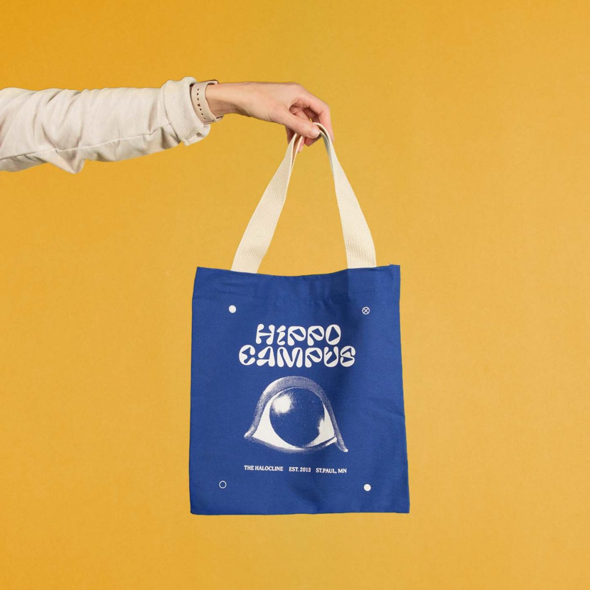 HippoCampus_IMG_0512_1x1